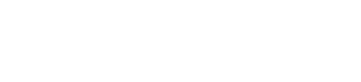 Rivemex